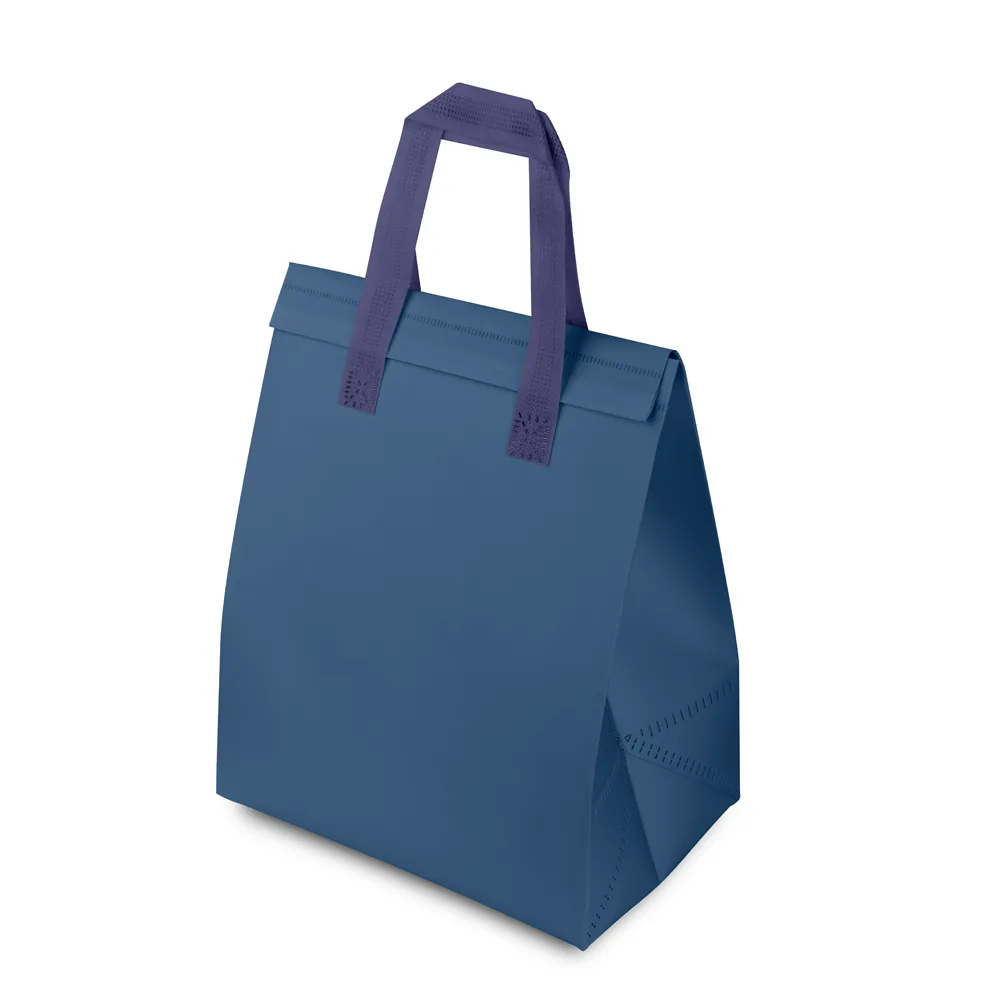 Sacola Térmica (25x26,5cm) - alternativa